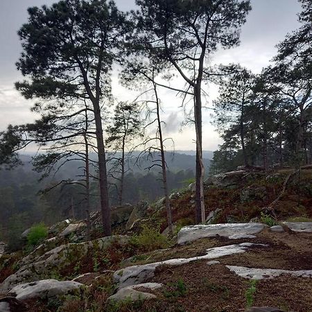 Gite Les Petites Bruyeres Veneux-les-Sablons Exterior foto