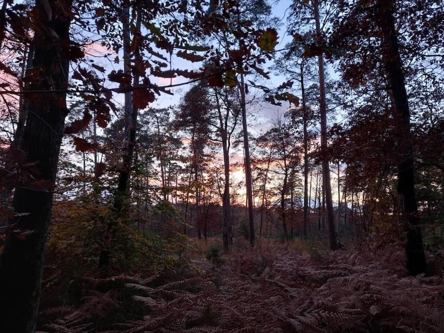 Gite Les Petites Bruyeres Veneux-les-Sablons Exterior foto